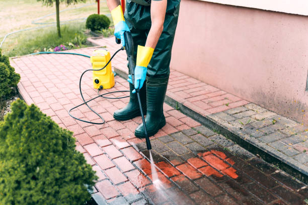 Best Solar Panel Cleaning  in Anderson, MO