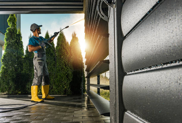 Best Gutter Cleaning  in Anderson, MO